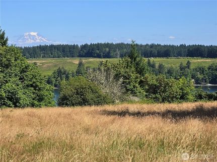 Undeveloped Land for sale in Pierce County, Washington