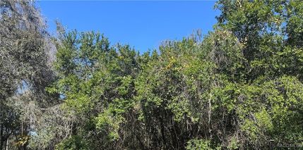 Property for sale in Citrus County, Florida