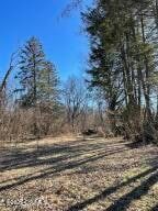 Property for sale in Northumberland County, Pennsylvania