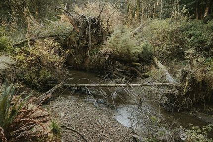 Property for sale in Clallam County, Washington