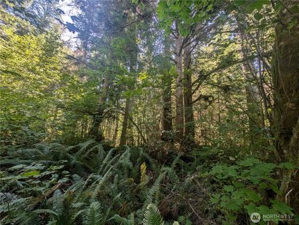 Property for sale in Clallam County, Washington