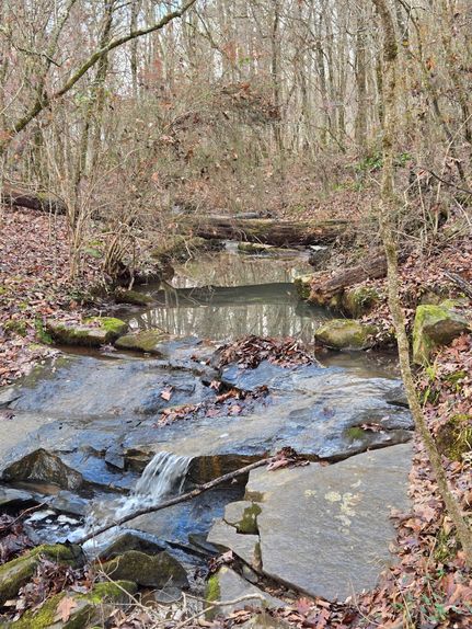 Property for sale in Putnam County, Georgia