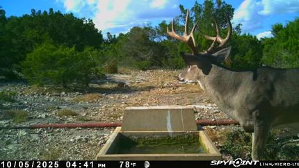 Property for sale in Edwards County, Texas