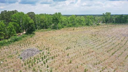 Undeveloped Land for sale in Bulloch County, Georgia