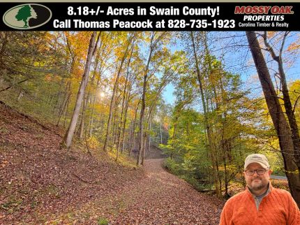 Property for sale in Swain County, North Carolina