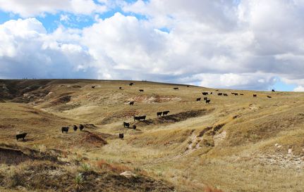 Farm Property for sale in Box Butte County, Nebraska