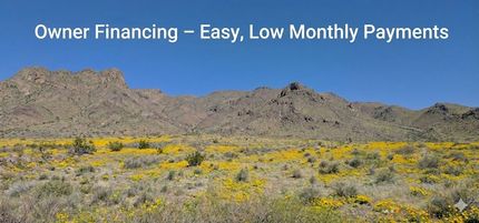 Undeveloped Land for sale in Luna County, New Mexico