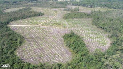 Property for sale in Liberty County, Georgia