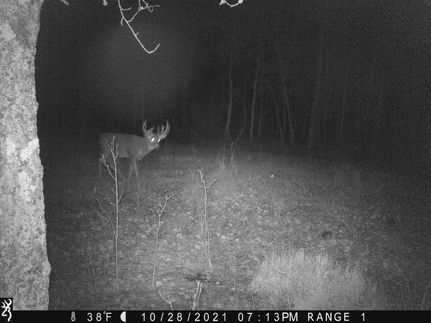 Property in Otter Tail County, Minnesota