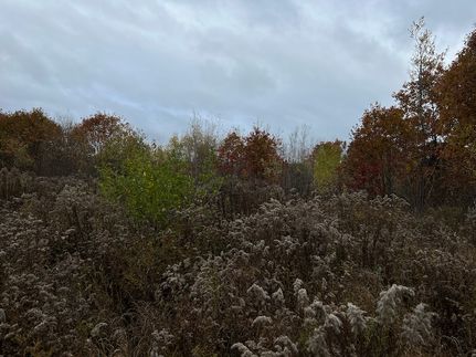 Undeveloped Land for sale in Waldo County, Maine