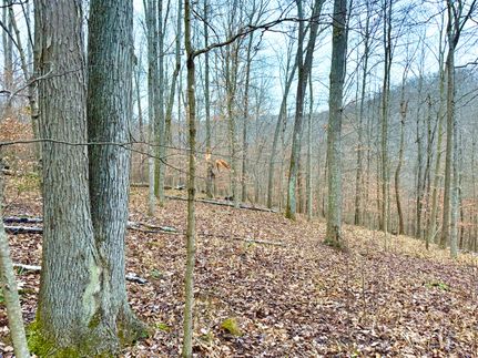 Property for sale in Adams County, Ohio