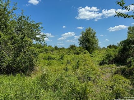 Property for sale in Live Oak County, Texas