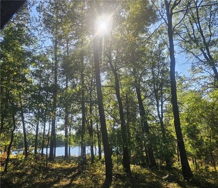 Undeveloped Land for sale in Burnett County, Wisconsin