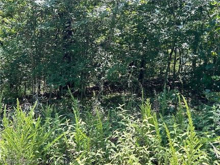 Property for sale in Cherokee County, Oklahoma