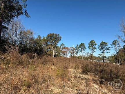 Property for sale in Bulloch County, Georgia