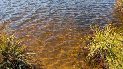 Property for sale in Itasca County, Minnesota