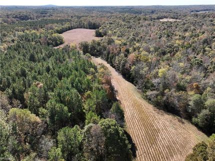 Undeveloped Land for sale in Davie County, North Carolina