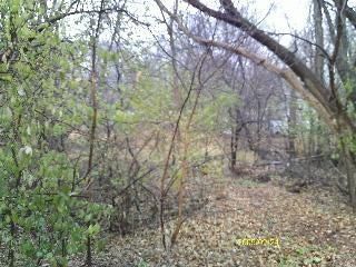 Property for sale in Lake County, Illinois