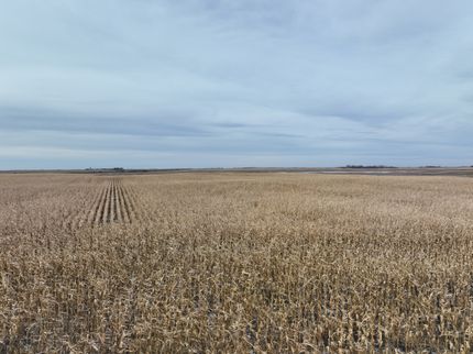 Property for sale in Benson County, North Dakota