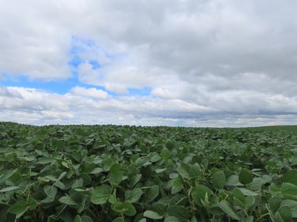 Property for sale in Grand Forks County, North Dakota