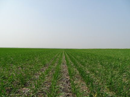 Property for sale in Wells County, North Dakota