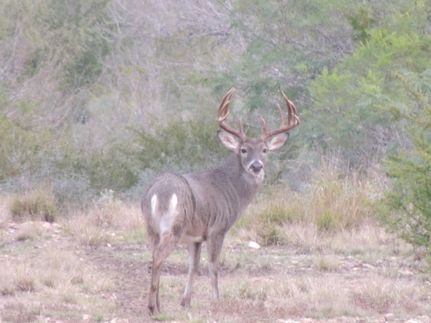 Property for sale in Webb County, Texas