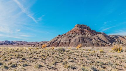 Property for sale in Navajo County, Arizona