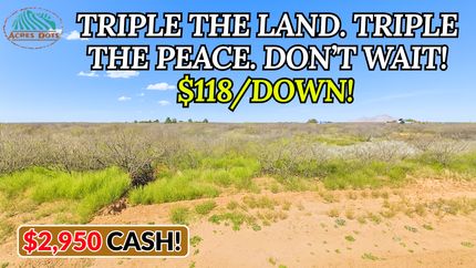 Undeveloped Land for sale in Luna County, New Mexico