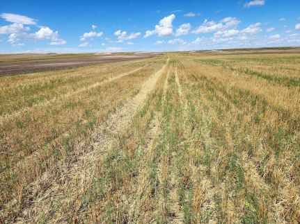 Farm Property for sale in Kimball County, Nebraska