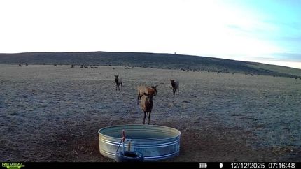 Property for sale in Moffat County, Colorado