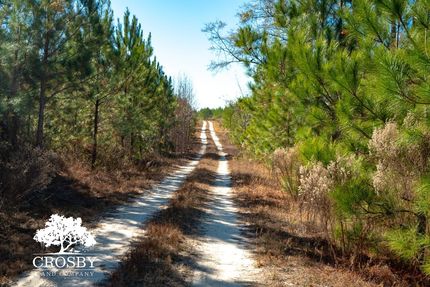 Property for sale in Allendale County, South Carolina