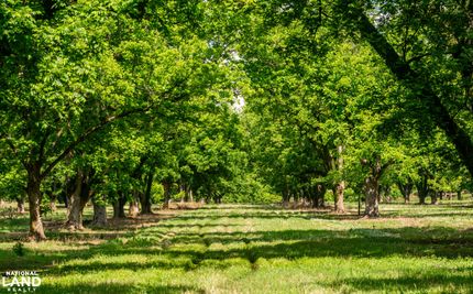 Property for sale in Hinds County, Mississippi