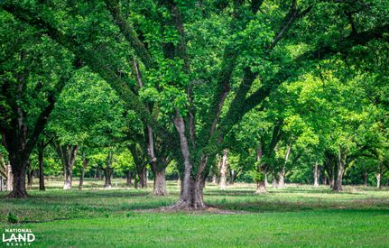 Property for sale in Hinds County, Mississippi