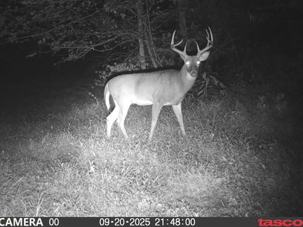 Property for sale in Athens County, Ohio