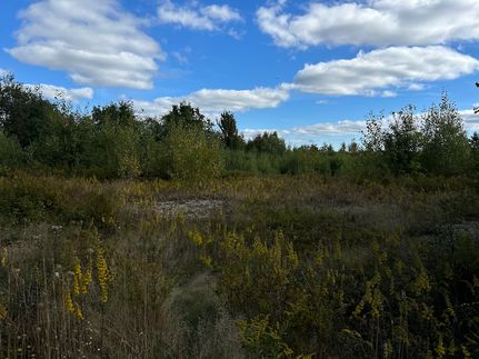 Property for sale in Waldo County, Maine