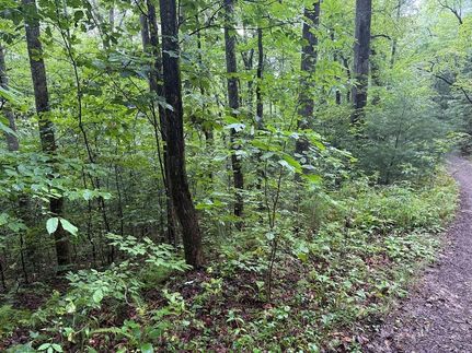Undeveloped Land for sale in Macon County, North Carolina