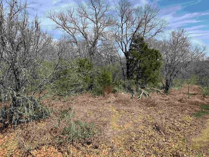 Undeveloped Land for sale in Llano County, Texas