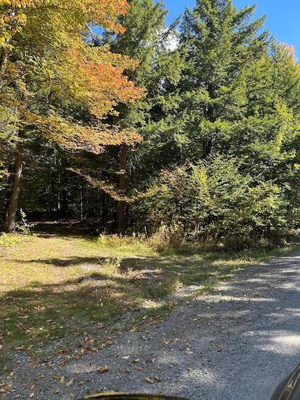Undeveloped Land for sale in Piscataquis County, Maine
