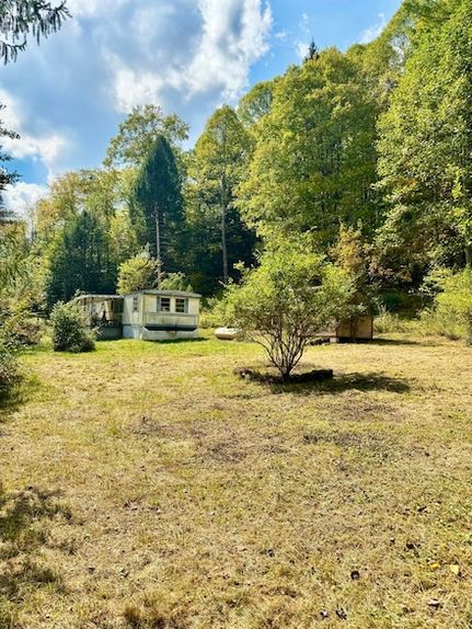 Property for sale in Nicholas County, West Virginia