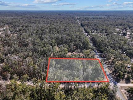 Undeveloped Land for sale in Dixie County, Florida