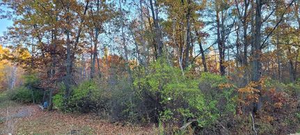 Property for sale in Mason County, Michigan