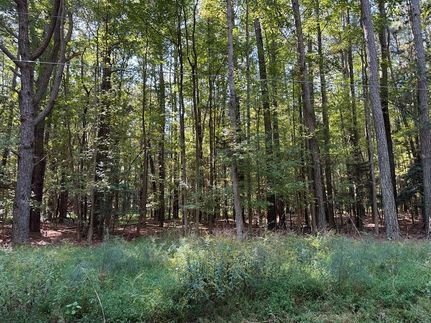 Undeveloped Land for sale in Northumberland County, Virginia