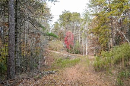 Property for sale in Union County, Georgia