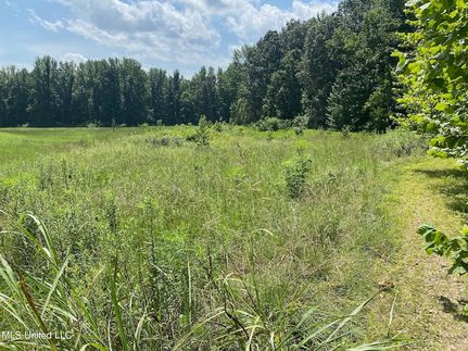 Property for sale in Marshall County, Mississippi