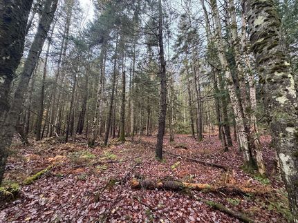 Property for sale in Washington County, Vermont