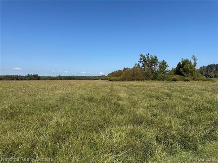 Undeveloped Land for sale in Alpena County, Michigan