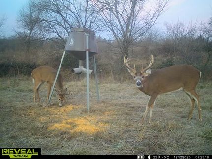 Property for sale in Osage County, Kansas