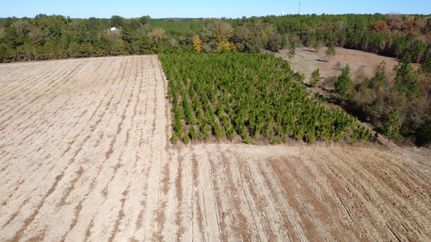 Property for sale in Marlboro County, South Carolina