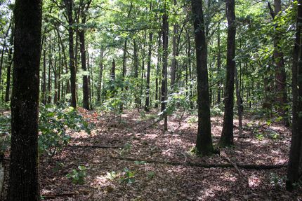 Timberland Property for sale in Delaware County, Oklahoma