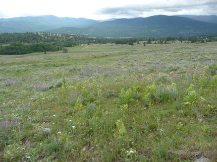 Residential Property for sale in Okanogan County, Washington